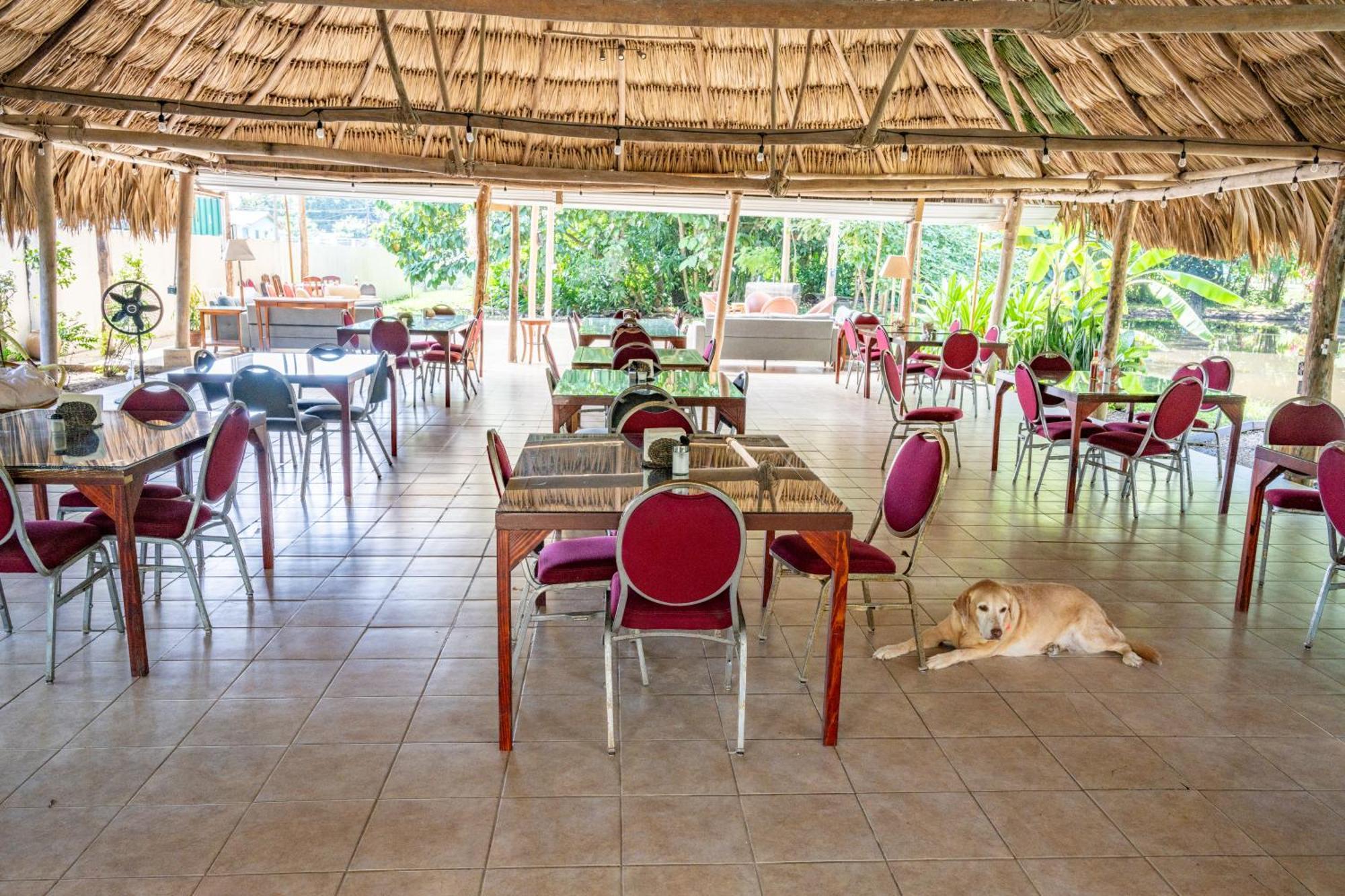 Drift Inn Cayo Santa Elena Exterior photo